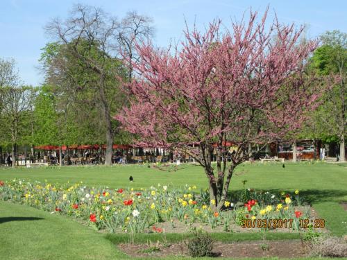 март, париж 1498.JPG