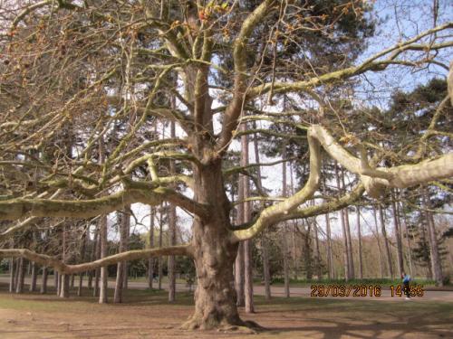 Париж март 2016 272.JPG