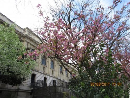 март, париж 963.JPG