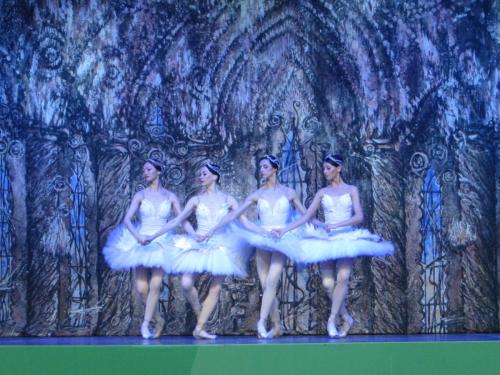 Лебединое озеро 074.JPG