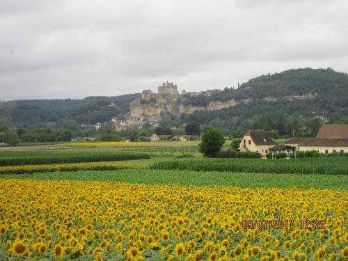 2 AS, 1 часть 1058.JPG