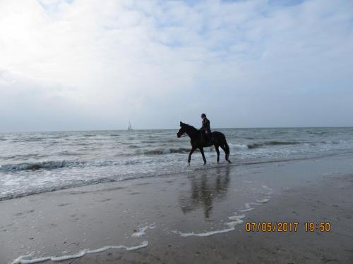 Нов. Ароматы 2 1188.JPG