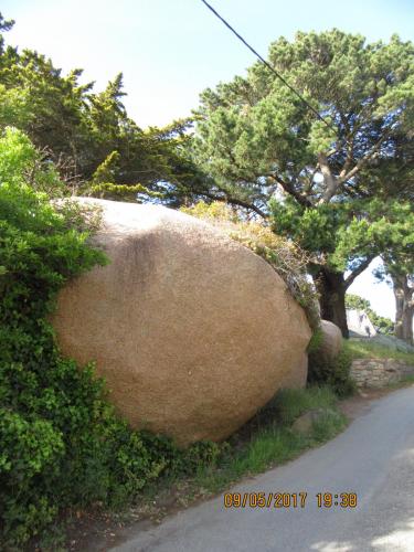 Нов. Ароматы 2 1902.JPG