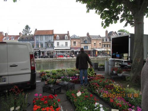 Нов. Ароматы 2 549.JPG