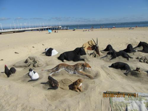 2GT 1 часть2016 1644.JPG