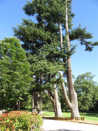 Великолепная Франция 2016 1250.JPG