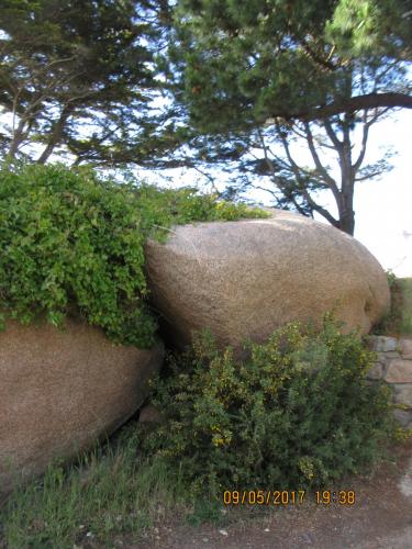 Нов. Ароматы 2 1903.JPG