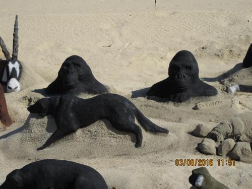 2GT 1 часть2016 1646.JPG