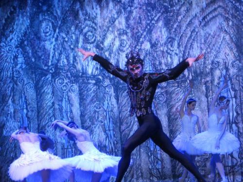 Лебединое озеро 189.JPG