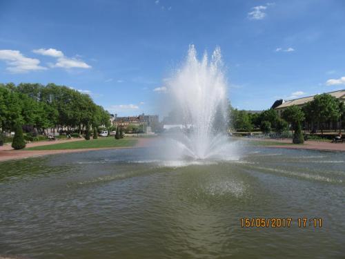 Ароматы 2 (2017) 2056.JPG