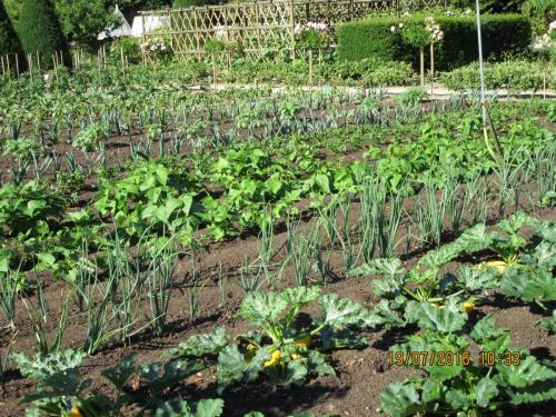 Великолепная Франция 2016 1235.JPG