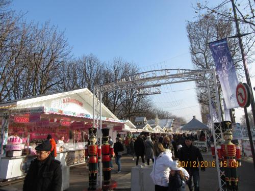 париж-2016-2017 450.JPG