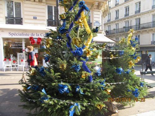 париж-2016-2017 029.JPG