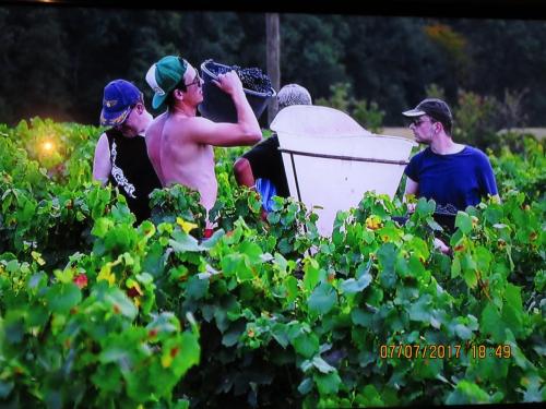 2 AS, 1 часть 661.JPG