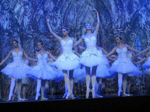 Лебединое озеро 173.JPG