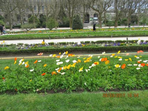 март, париж 1041.JPG