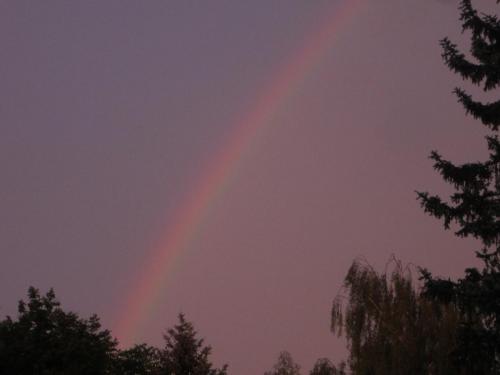 Лебединое озеро 158.JPG