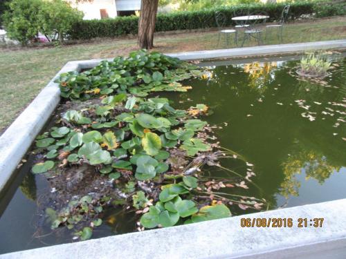 2GT 2016, 2 часть 131.JPG