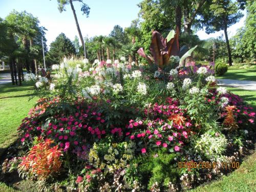 2GT 1 часть2016 1603.JPG