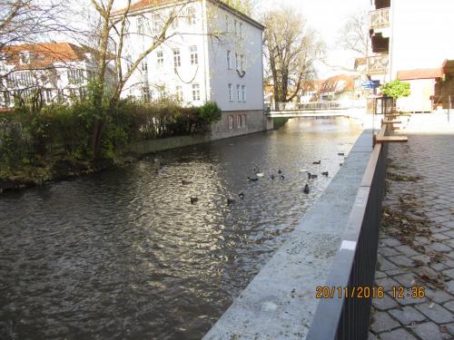 Божоле 2016 2491.JPG