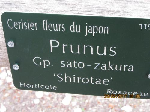 март, париж 1016.JPG