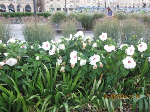 2GT 1 часть2016 1158.JPG