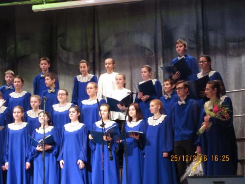 Мандрагора 117.JPG