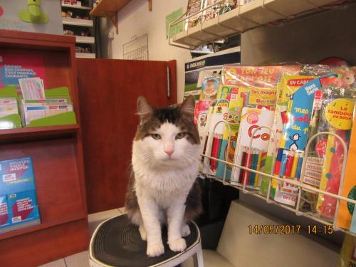 Ароматы 2 (2017) 1460.JPG