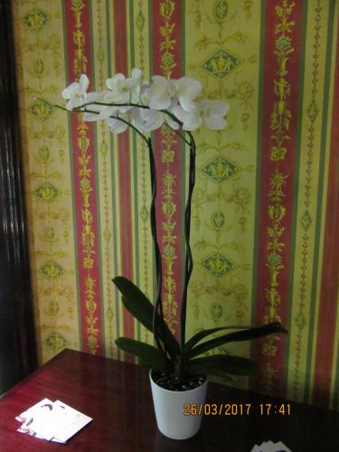 март, париж 267.JPG