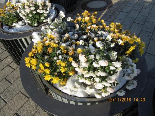 Божоле 2016 015.JPG