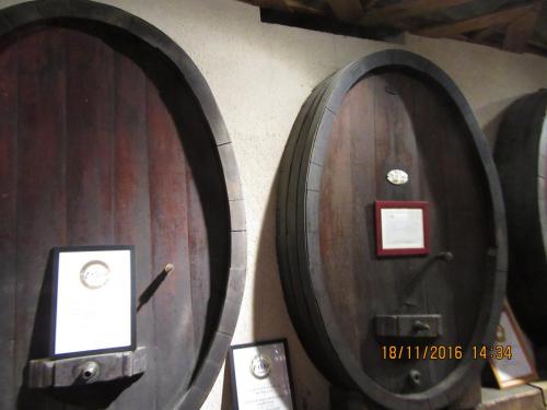 Божоле 2016 1834.JPG