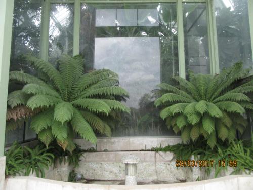 март, париж 1052.JPG