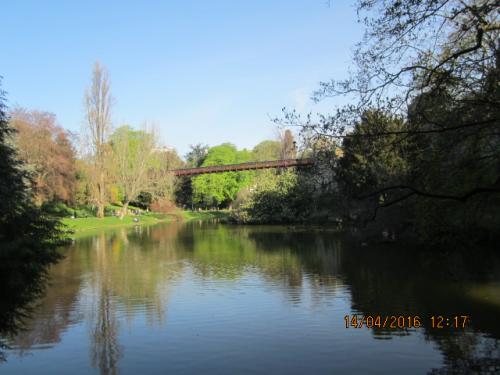 Ароматы, 11.04.2016 361.JPG