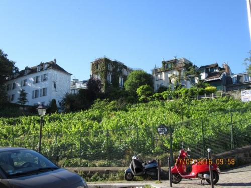 Великолепная Франция 2016 794.JPG