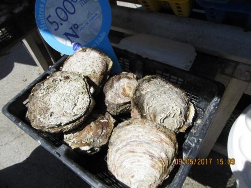 Нов. Ароматы 2 1872.JPG