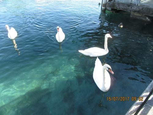 2 AS, 2 часть 203.JPG