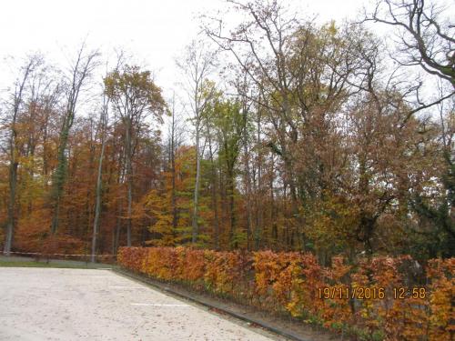 Божоле 2016 2169.JPG