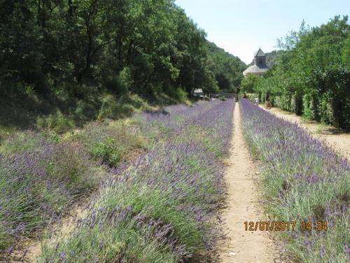 2 AS, 1 часть 2142.JPG