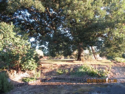 2GT 2016, 2 часть 126.JPG