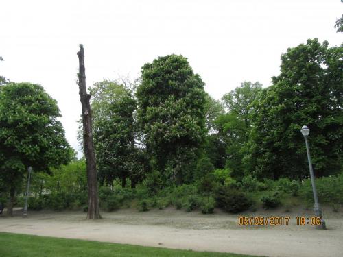 Нов. Ароматы 2 341.JPG