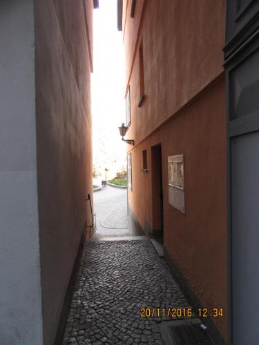 Божоле 2016 2477.JPG