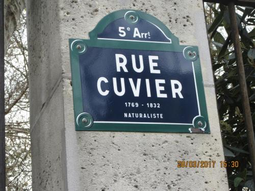 март, париж 986.JPG