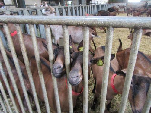 2 AS, 1 часть 916.JPG