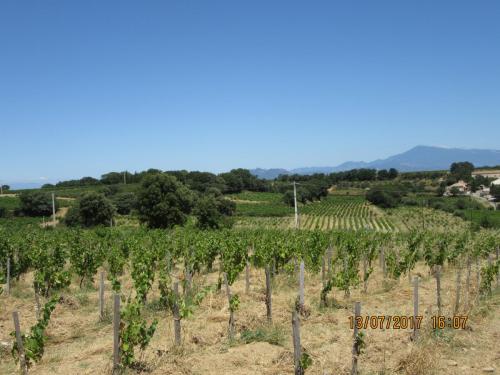 2 AS, 1 часть 2561.JPG