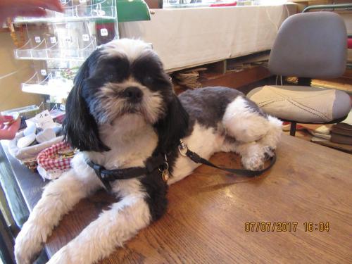 2 AS, 1 часть 563.JPG