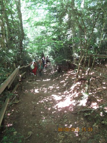 2GT 2016, 2 часть 742.JPG