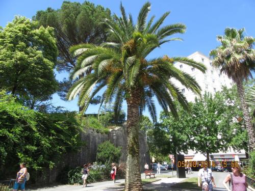 2GT 1 часть2016 2250.JPG