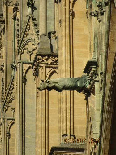 Ароматы 2 (2017) 2122.JPG