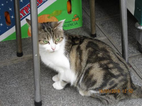 Великолепная Франция 2016 565.JPG