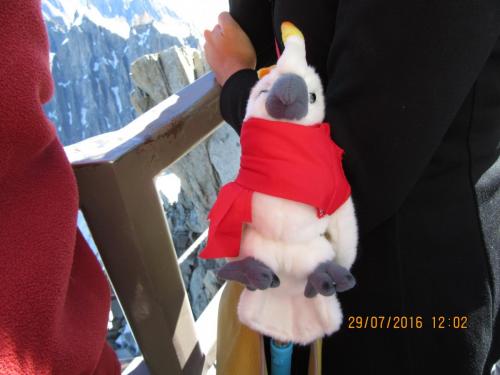 2GT 1 часть2016 277.JPG